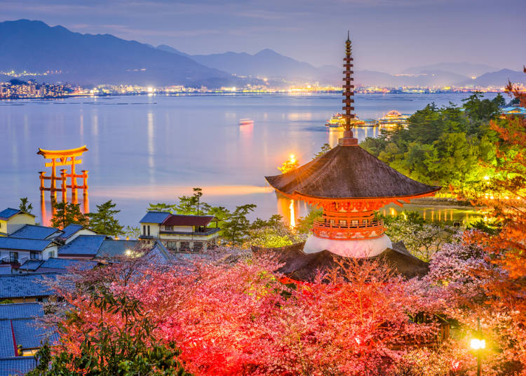 品嚐日式甜點的風雅-【廣島】日式紅葉饅頭口味