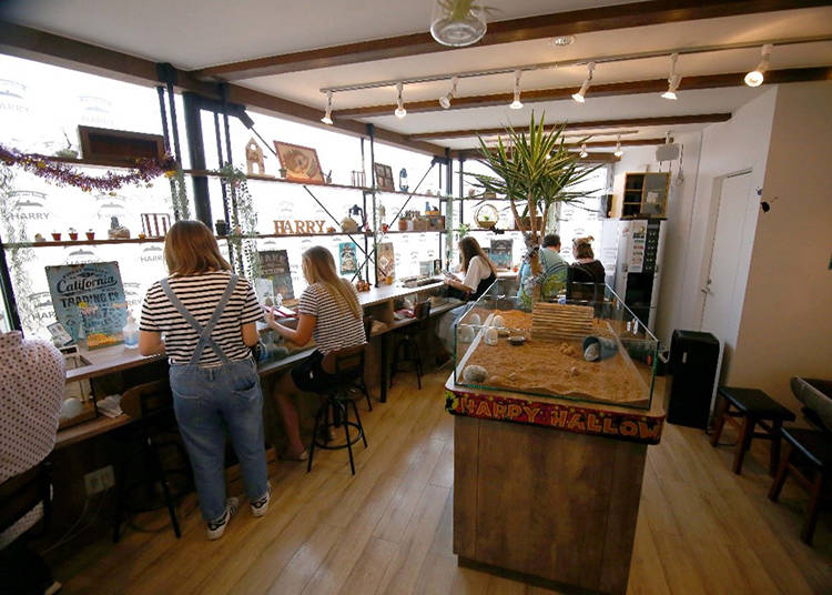 Hedgehog Café Services