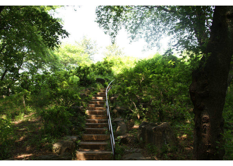3. Toyama Park – Shinjuku’s Little Oasis of Calm and Respite