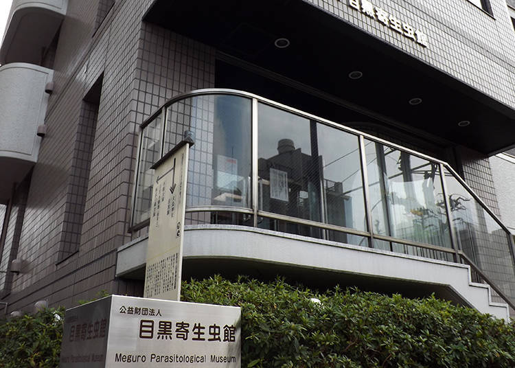 【目黑】 目黑寄生蟲館