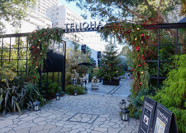 代官山必訪! 被美麗的綠意植栽圍繞的複合式庭園「TENOHA DAIKANYAMA」