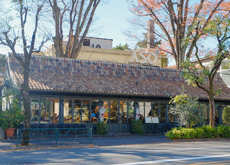 代官山最美最優雅的咖啡館 Caffè Michelangelo (米開朗基羅咖啡廳)