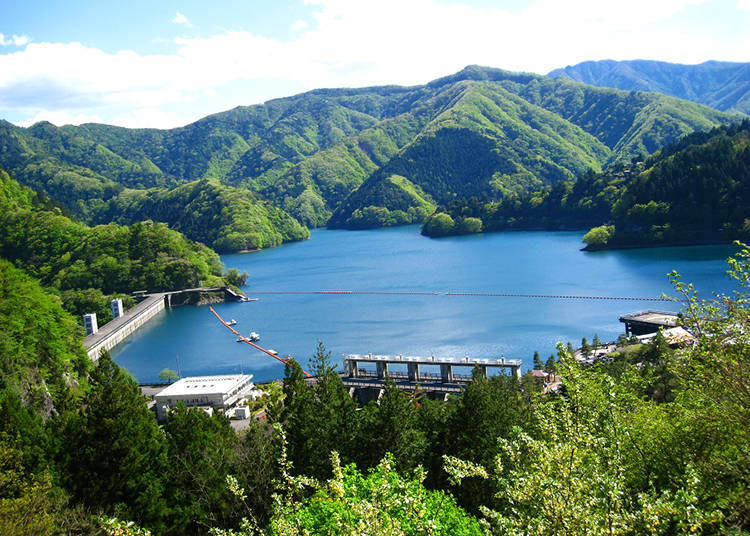 Okutama Lake: Cherry Blossom Gorgeousness in Spring, Autumn Leaf Dreams in Fall