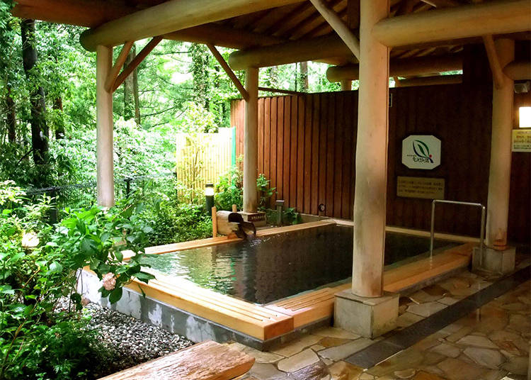 Drop-In Spot 2: Okutamaonsen Moegi Hot Spring
