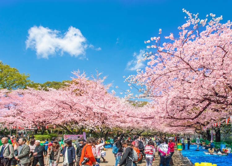 The JR Yamanote Line: Plenty of Must-See Sightseeing Spots!