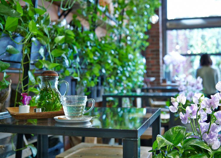 在溫室裡捻花惹草,療癒人心的朵朵花潮下午茶『Aoyama Flower Market TEA HOUSE』