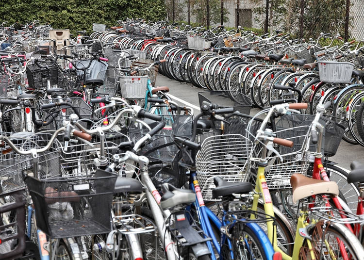 3. Bicycles are everywhere