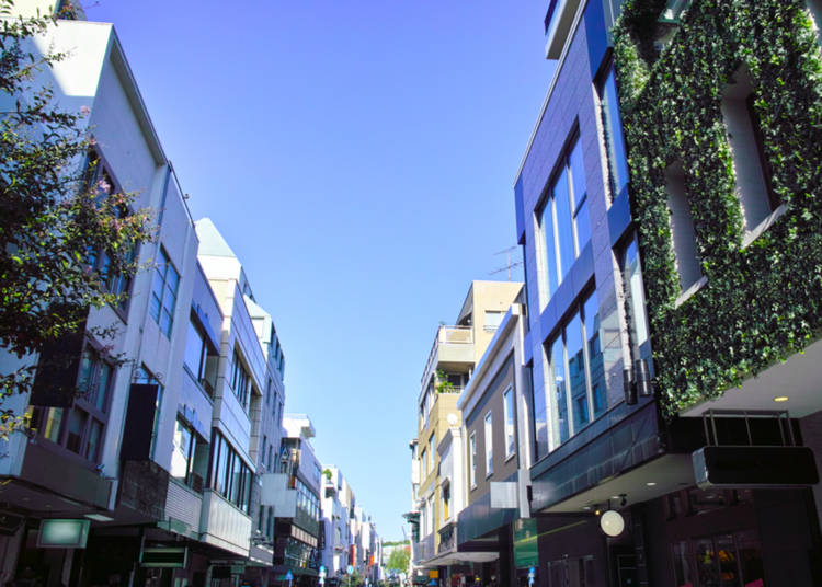 Window Shopping in Motomachi