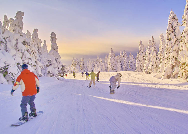 Ski & Snowboarding Lessons