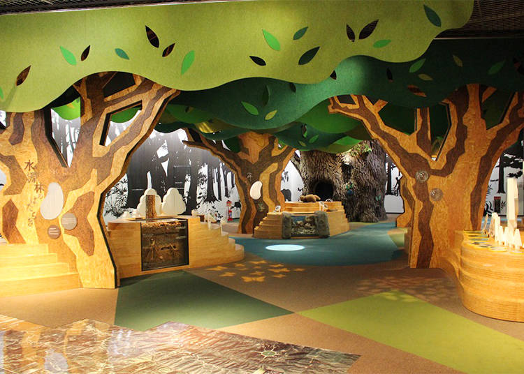 The Aqua Forest: The Roots of Water