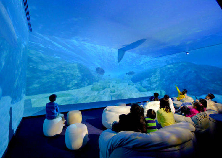 The Aqua Trip Theater: Follow the Journey of Water