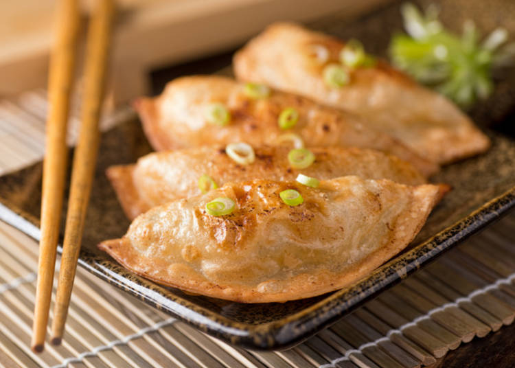 A Guide to Gyoza Tasty Japanese Dumplings! LIVE JAPAN (Japanese