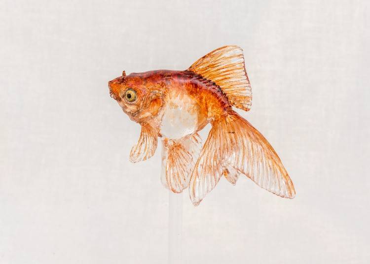 Hironori Ikeno’s Secret Sightseeing Tips #1
Asakusa Amezaiku Ameshin and the Breathtaking Art of Japanese Candy