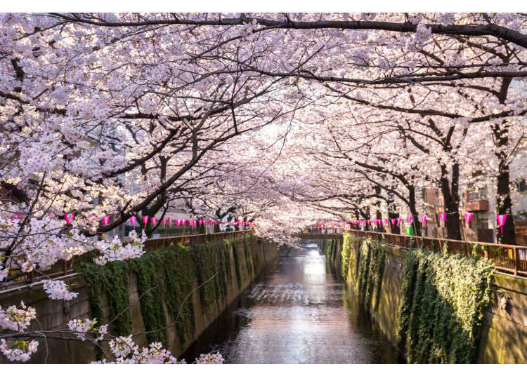【春季】3月、4月、5月天氣&穿搭建議