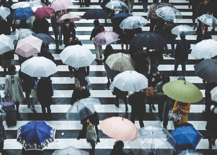 初夏需注意的梅雨季