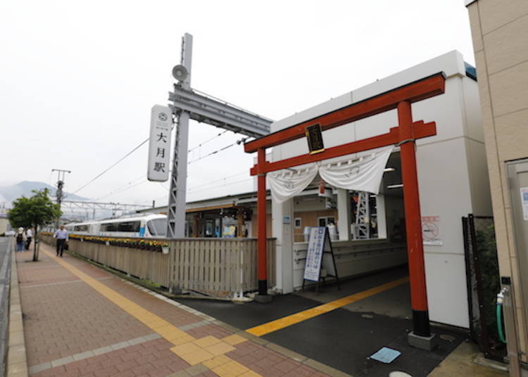 1. Fujisan Express – The Cutest Design!