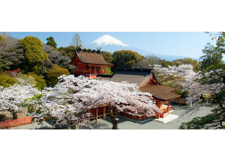 6. Is Mount Fuji on Private Land? Or Does It Belong to the State?