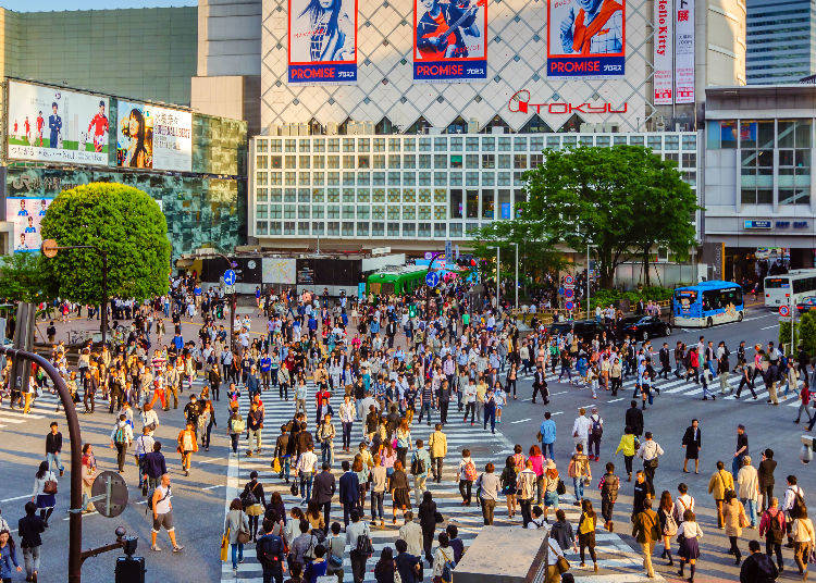 Secret #6: Top Recommended Spot to Watch From Above As Recommended By Japanese Natives!
