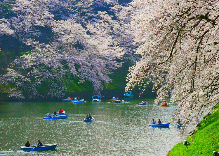 Chidorigafuchi – Right Now