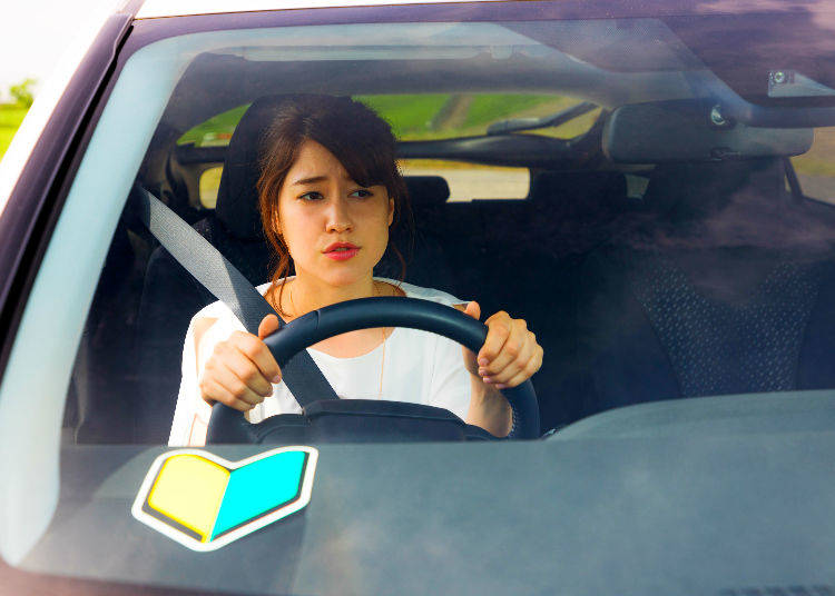 Paper Driver ペーパードライバー
