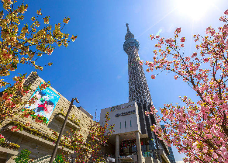 Solamachi (Tokyo Skytree)