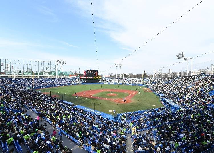 オープンエアで開放感のある神宮球場