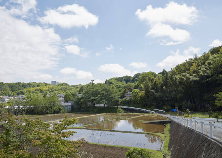 【絹の道資料館】/鑓水商人の歴史を知り、幕末から始まった八王子と海外各国との交流を学ぶ