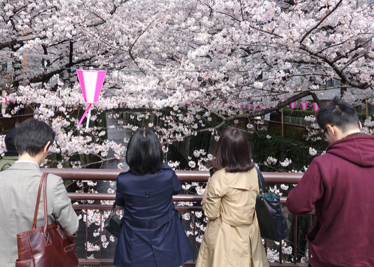 10. Nakameguro