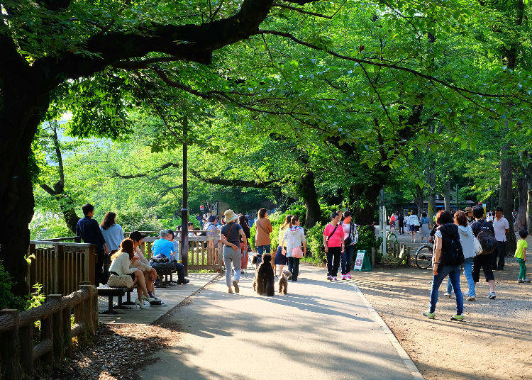 12. Kichijoji - “Experience Japan’s rural life within Tokyo”