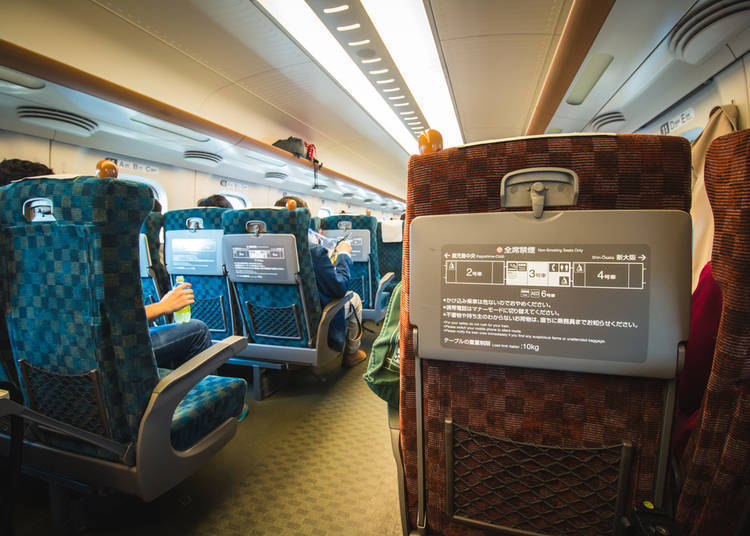 Handling Luggage on Transportation