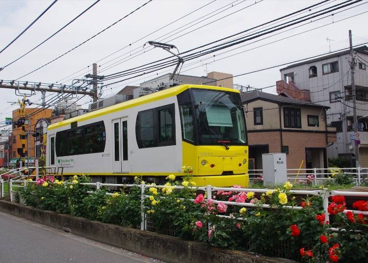 The Best Rose Viewing Spots Along the Railway!