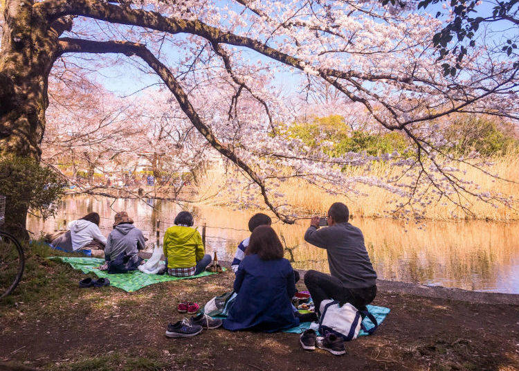 What's the weather like in Tokyo in March? LIVE JAPAN (Japanese travel, sightseeing and