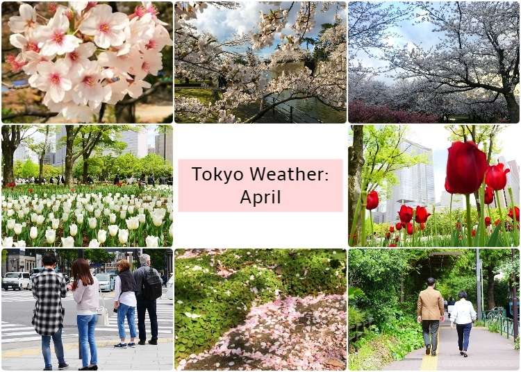 What's the weather like in Tokyo in April?