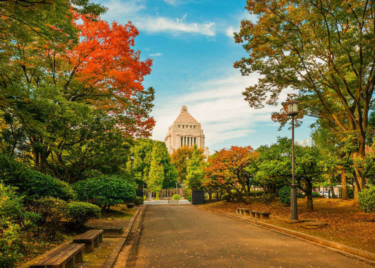 Visiting the National Diet Building in Tokyo: Take a Peek at Japan’s Government with a Free Tour!
