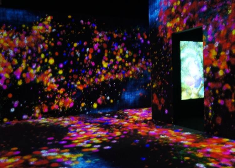Borderless World 美麗奇幻的無邊界展覽