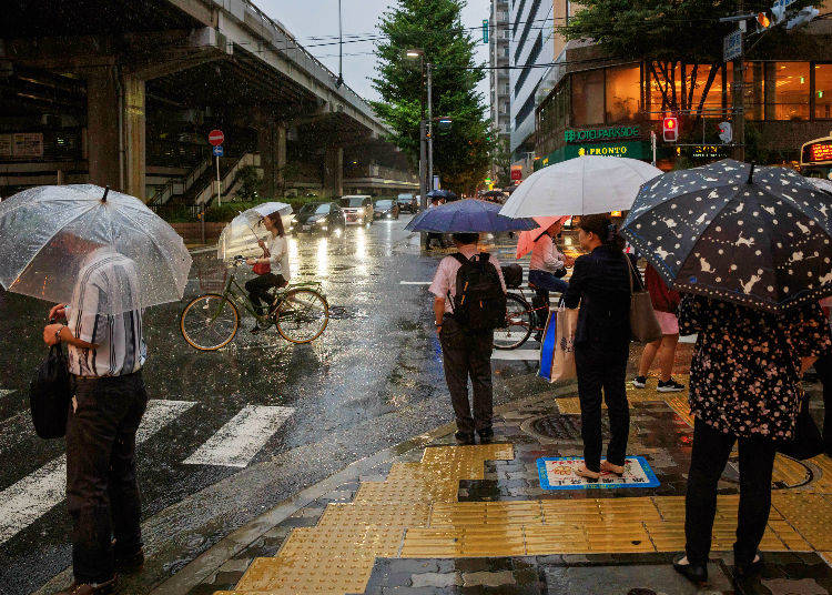 4. Summer Typhoon! What to Do?