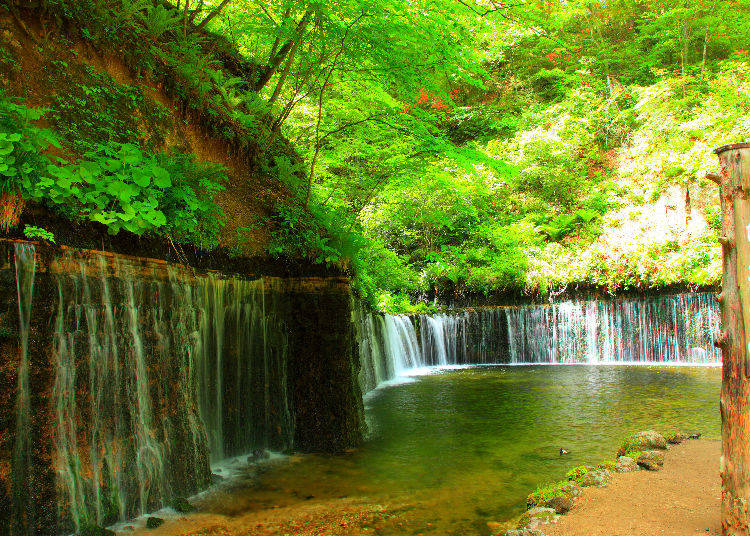 9. Perfect Summer Daytrip Spots Around Tokyo!