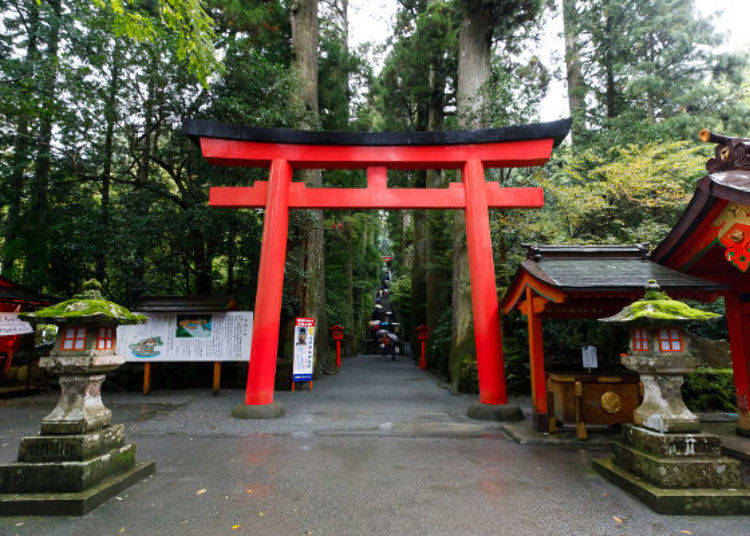 Boost Your Luck in Sport and Business! Hakone Shrine is a Power Spot for Luck