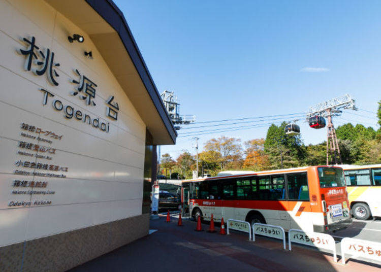 Take the Scenic Route! See the Sengoku Pampas Grass - Chosen as one of Kanagawa's 50 Scenic Spots!