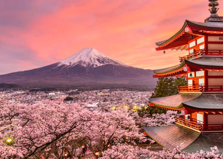 8 Things I Wish I'd Known Before Coming to Japan