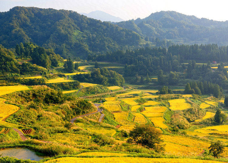 Brief History of Rice Crackers in Japan