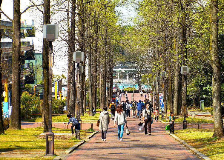 5. 各自治体や学校、街、会社ごとのボランティア活動