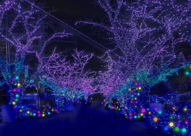 Yomiuriland 2018: 6 Million glittering gems