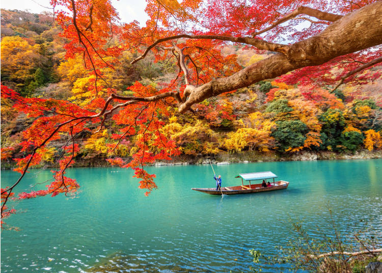 Finding the Best Time of Year to Visit