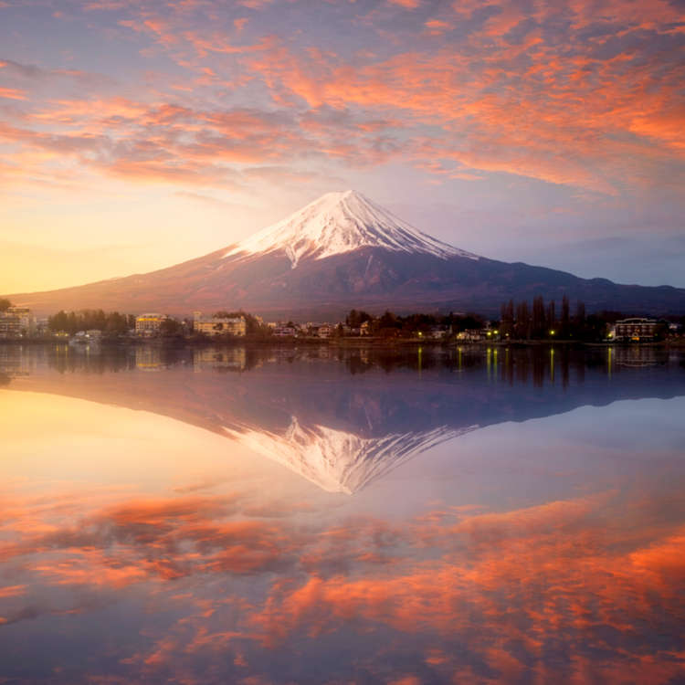 Mysterious Mount Fuji: Exploring Aokigahara And Its Caves - LIVE JAPAN ...