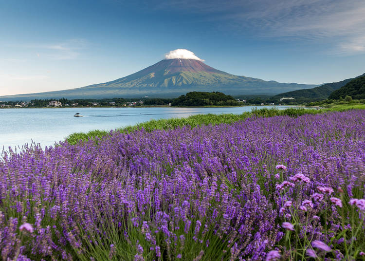 Reaching Kawaguchiko from Tokyo