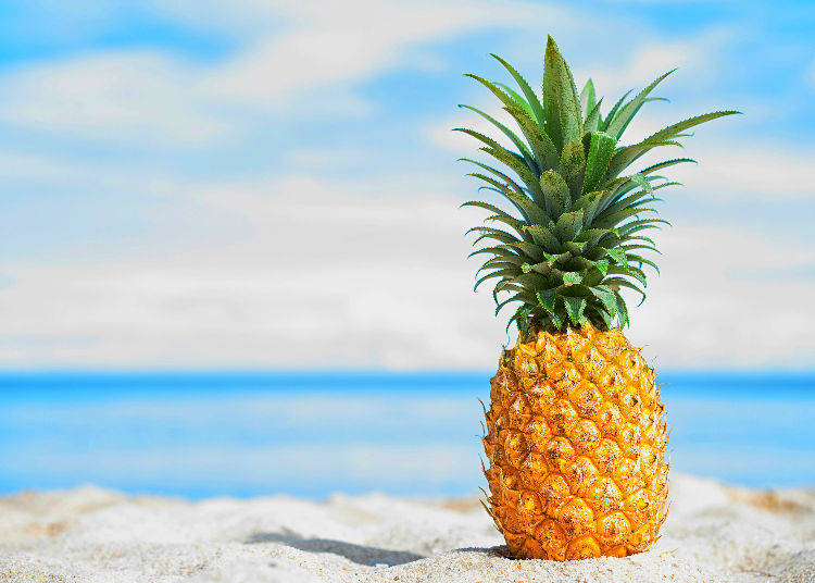 “Pine” (パイン) – Pineapple