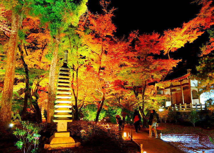 Chinzanso Garden (Mejiro, Tokyo)