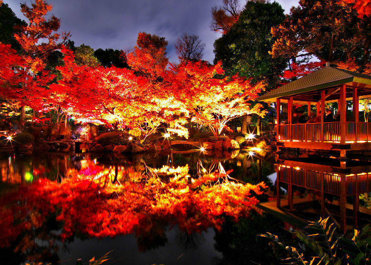 Otaguro Park (Ogikubo, Tokyo)