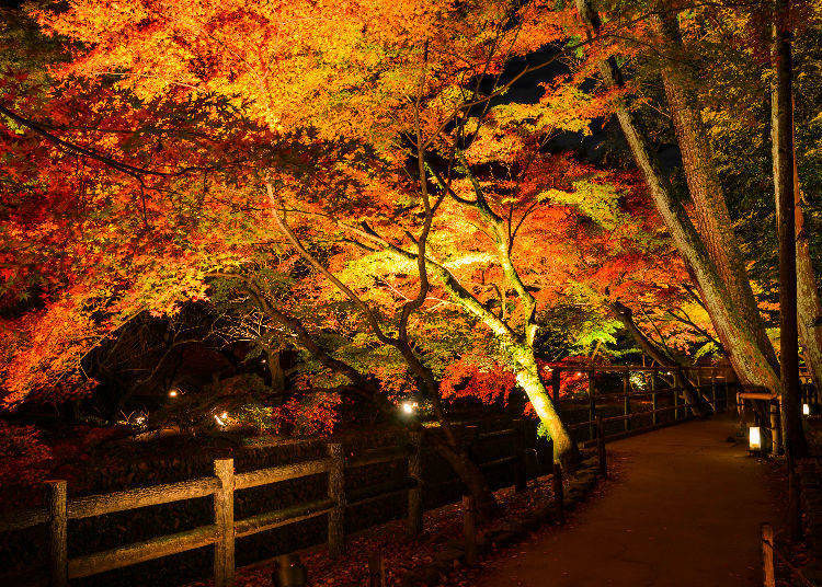 Hase-dera Temple (Kamakura, Kanagawa)